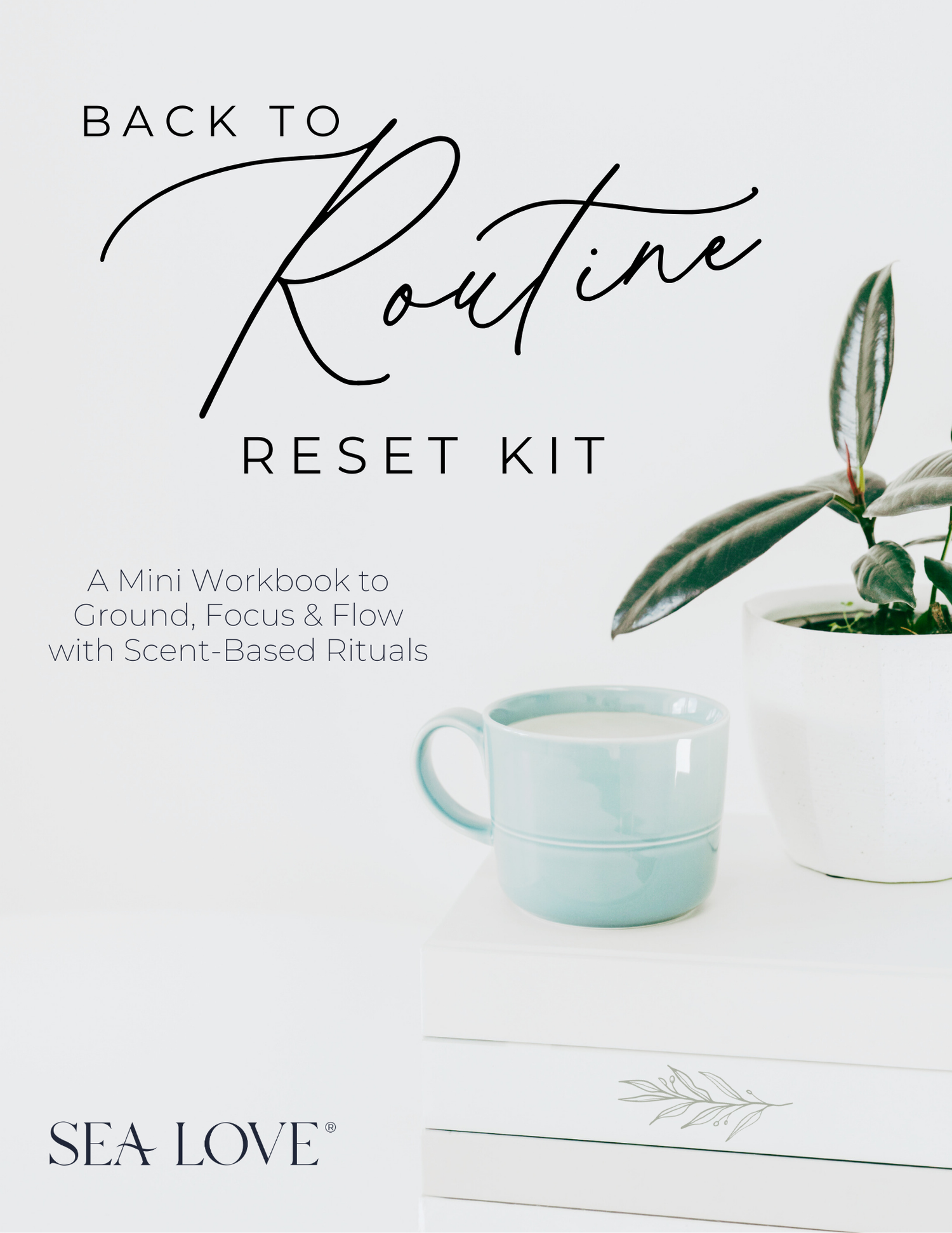 Back to Routine Reset Kit – Sea Love